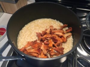 Preparazione | Risotto finferli e taleggio