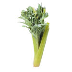 Cardo