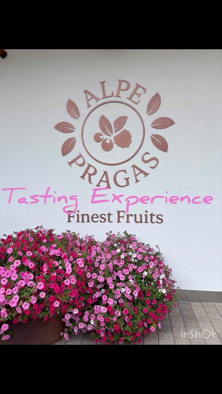 Una mattinata ad @alpepragas per una Tasting Experience assaporando i loro prodotti!! 🍓🫐🍒 
#alpepragas #dolomiti #braies #confettureartigianali
